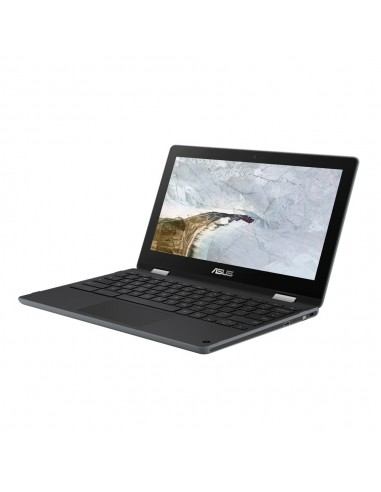 ASUS Chromebook Flip C214MA-BW0095